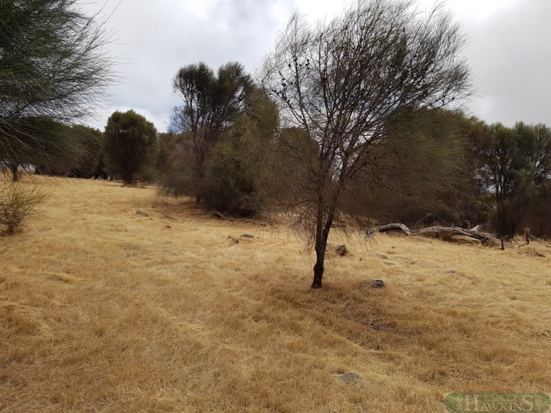 40 Fernande Ct, Penneshaw SA 5222