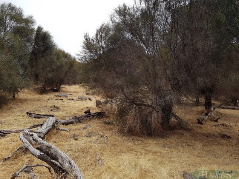 40 Fernande Ct, Penneshaw SA 5222