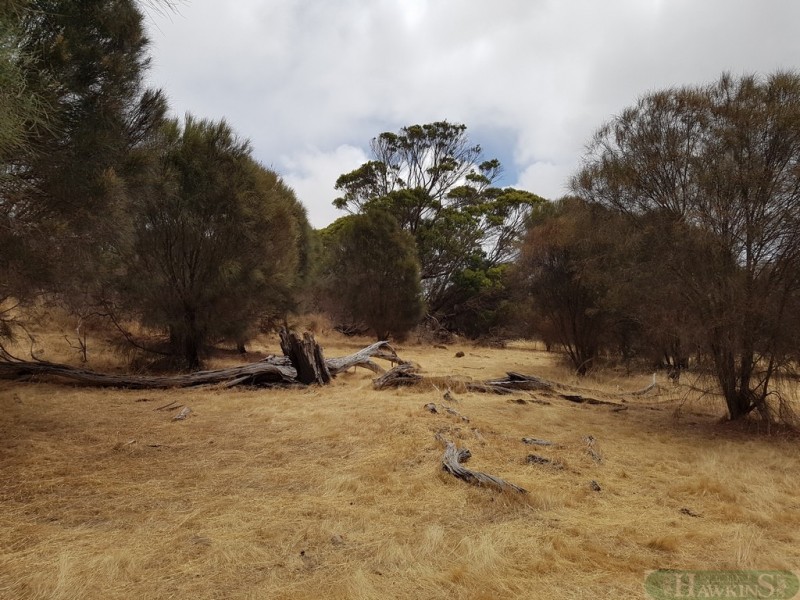 40 Fernande Ct, Penneshaw SA 5222