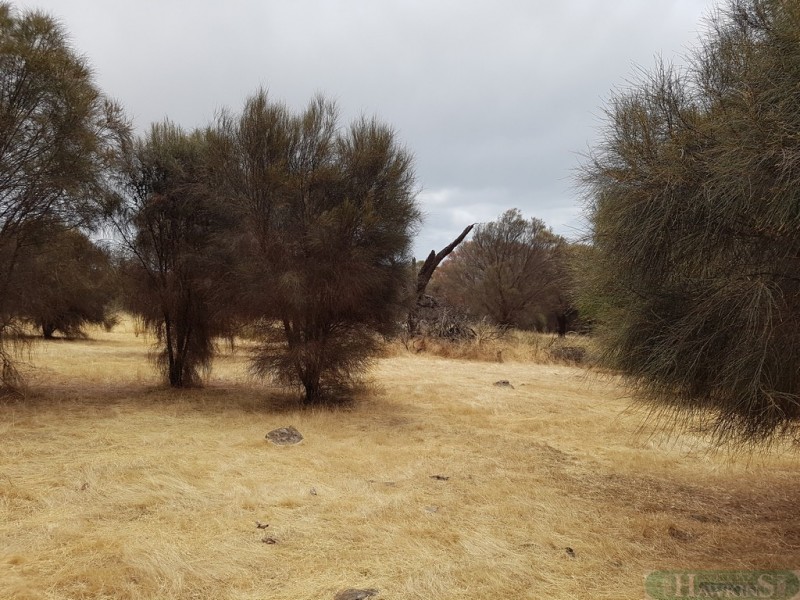 40 Fernande Ct, Penneshaw SA 5222