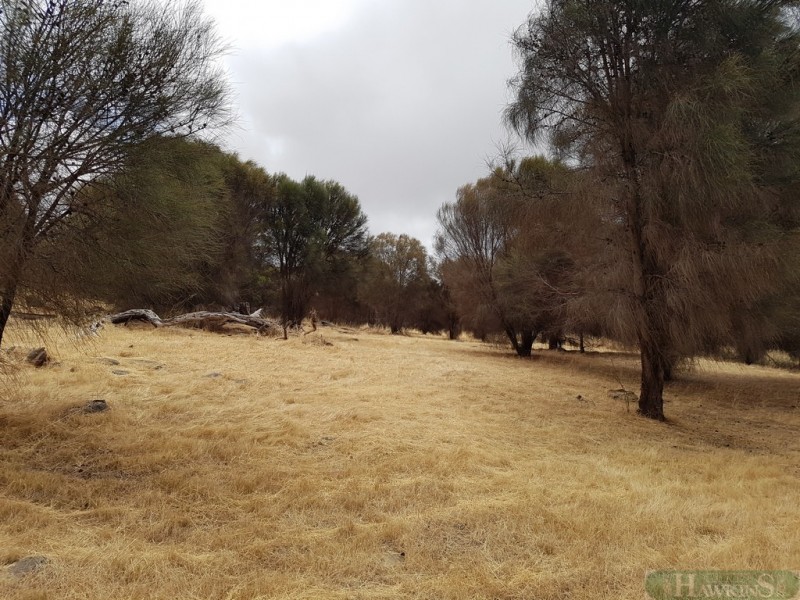 40 Fernande Ct, Penneshaw SA 5222