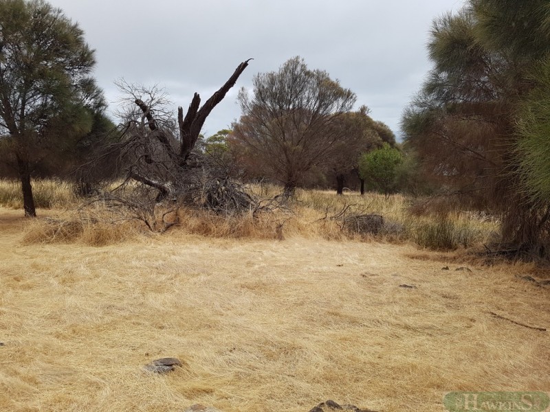 40 Fernande Ct, Penneshaw SA 5222