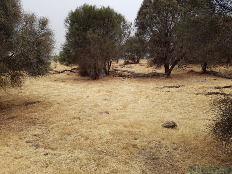 40 Fernande Ct, Penneshaw SA 5222