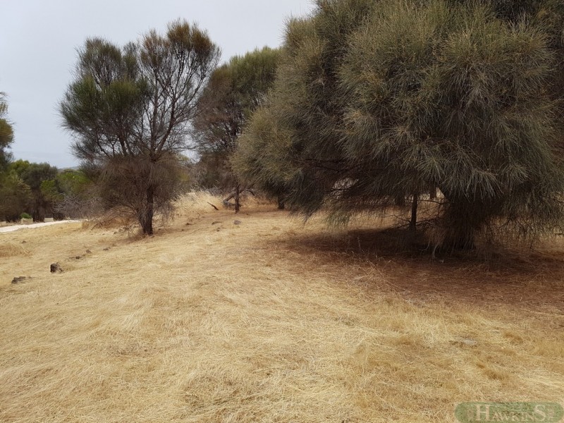 40 Fernande Ct, Penneshaw SA 5222