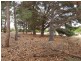 107 Ocean View Drive, Nepean Bay SA 5223