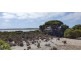 3 Hog Bay Road, Pelican Lagoon SA 5222