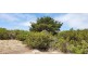3 Hog Bay Road, Pelican Lagoon SA 5222