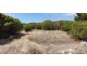 3 Hog Bay Road, Pelican Lagoon SA 5222