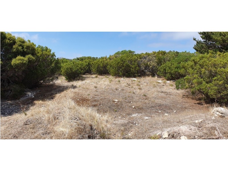3 Hog Bay Road, Pelican Lagoon SA 5222