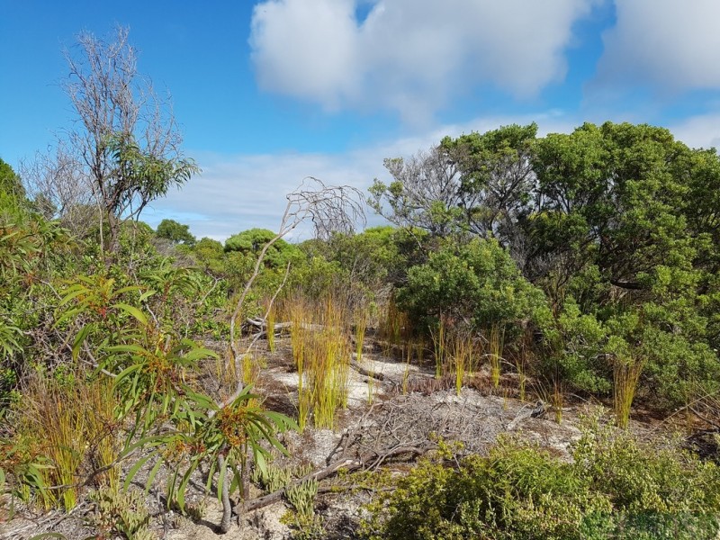 177 Borda Rd, Island Beach SA 5222