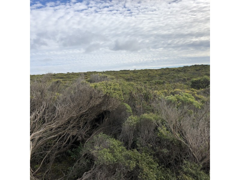 35 Osmanli Rd, D’estrees Bay SA 5223