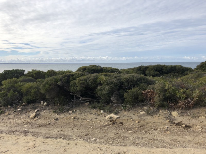 35 Osmanli Rd, D’estrees Bay SA 5223