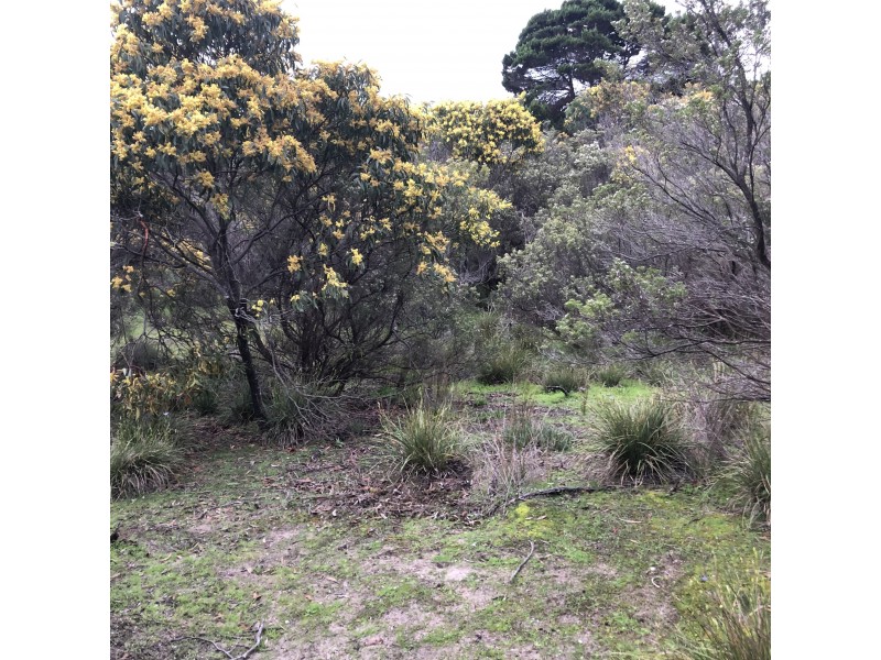 107 Island Beach Rd, Island Beach SA 5222