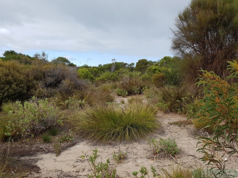 52 Main Street, Sapphiretown SA 5222