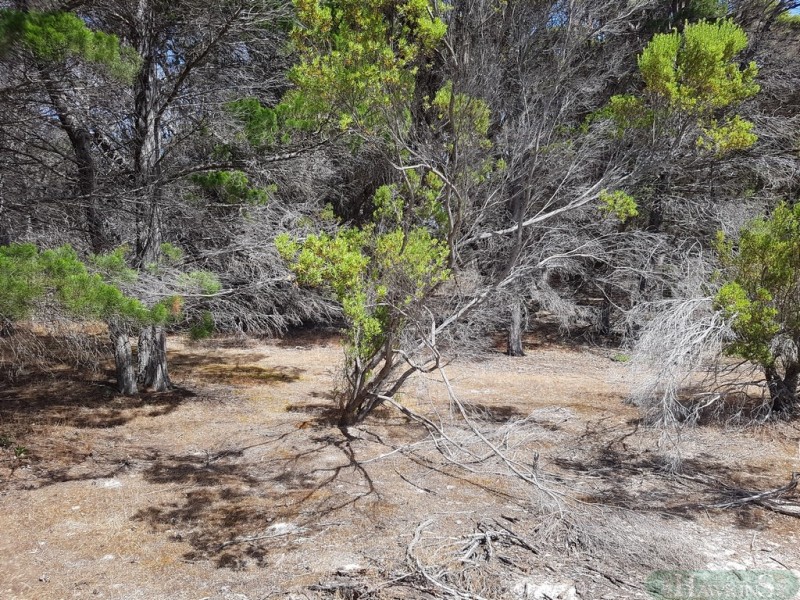 258 Mitchell Drive, Pelican Lagoon SA 5222