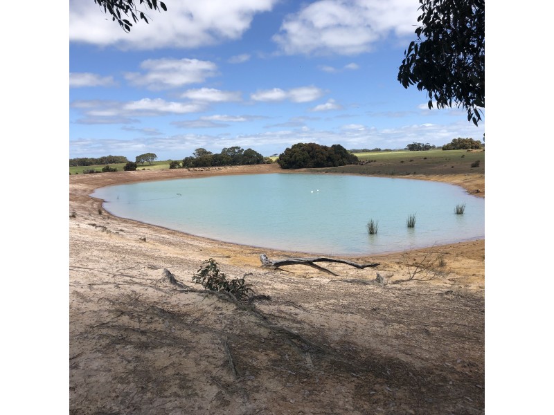 2721 North Coast Road, Cassini SA 5223
