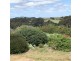 2721 North Coast Road, Cassini SA 5223