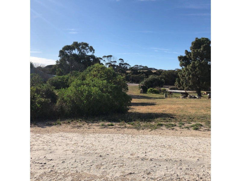 101 Leander Ave, Baudin Beach SA 5222