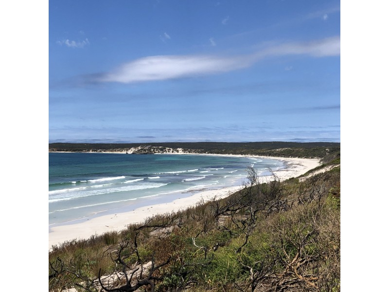 55  Dolphin Cr, Vivonne Bay SA 5223