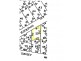55  Dolphin Cr, Vivonne Bay SA 5223