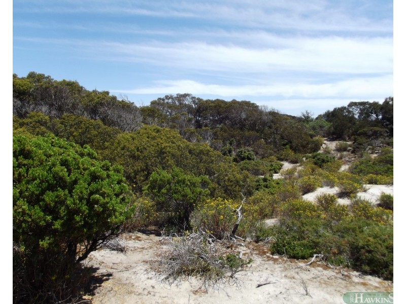 3 Hog Bay Rd, Island Beach SA 5222