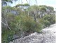 3 Hog Bay Rd, Island Beach SA 5222