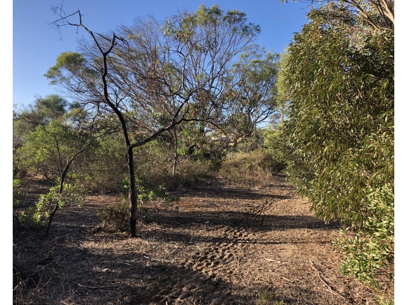 171 Hog Bay Rd, Baudin Beach SA 5222