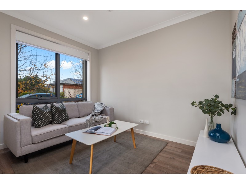 14 Palumbo Avenue, Newton SA 5074