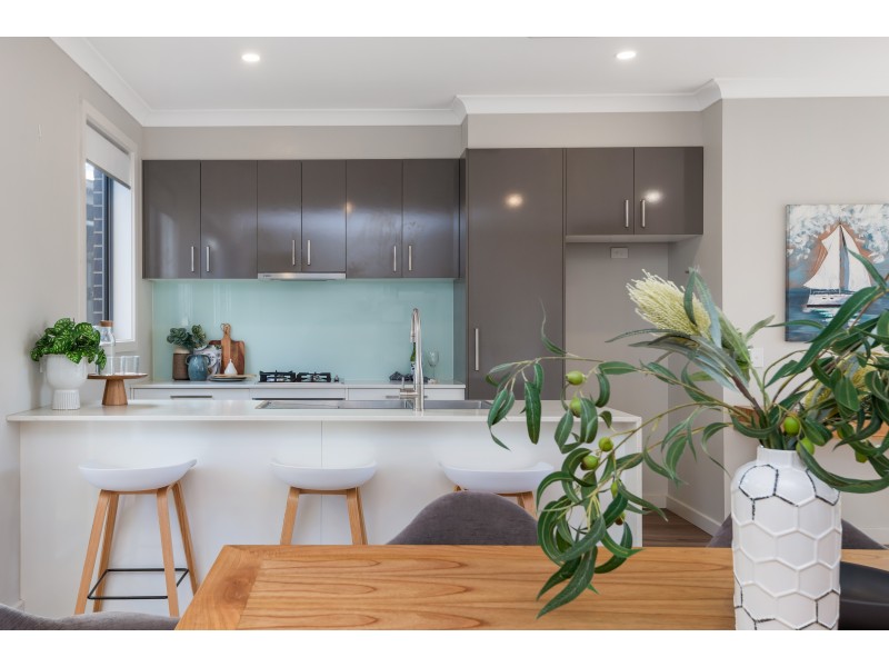 14 Palumbo Avenue, Newton SA 5074