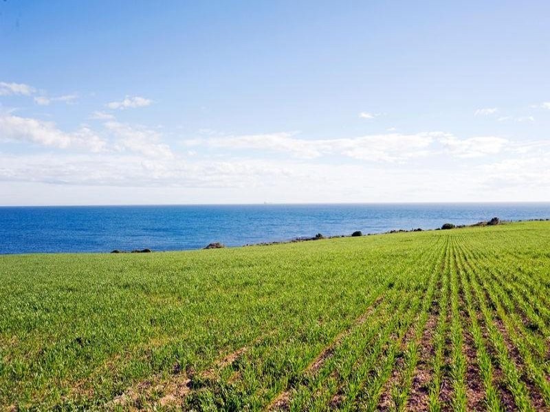 14 Meander Way, North Beach SA 5556