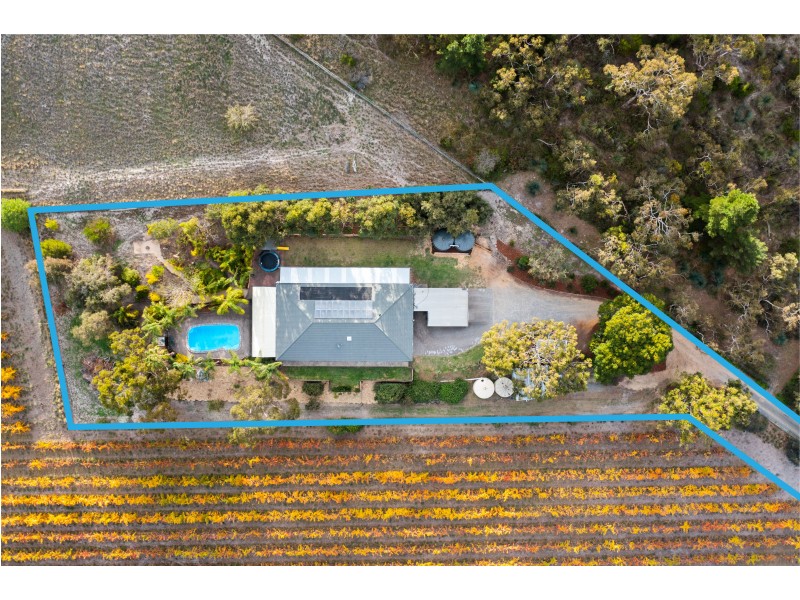 74 Pennys Road, Mclaren Flat SA 5171