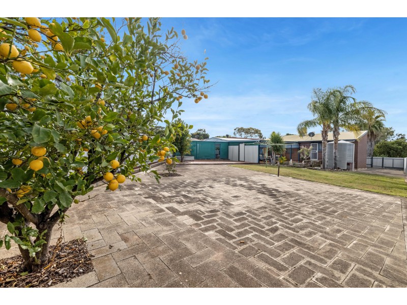 12 Palma Court, Hackham West SA 5163