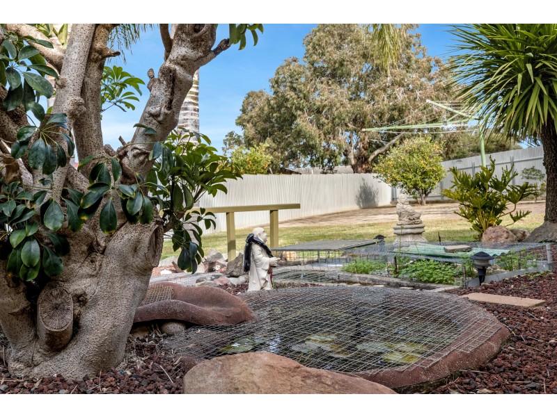 12 Palma Court, Hackham West SA 5163