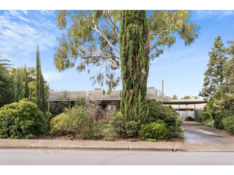 16 Eurelia Road, Sheidow Park SA 5158