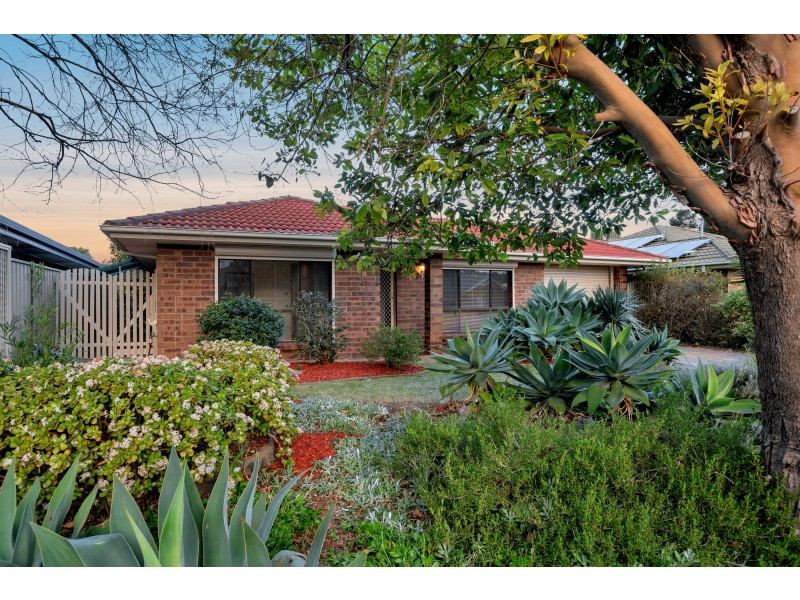 15 Gannet Place, Seaford Rise SA 5169