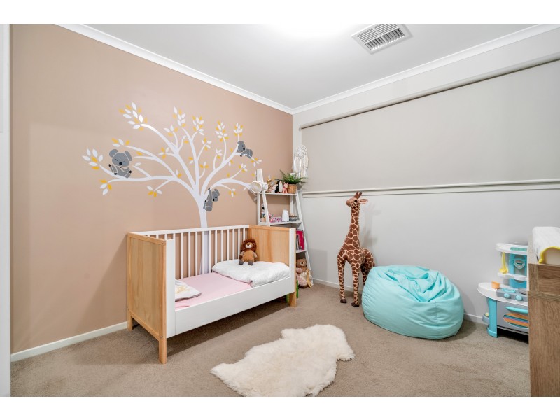 50 Cook Street, Seaford Meadows SA 5169