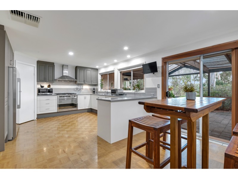 51 Coachwood Drive, Aberfoyle Park SA 5159