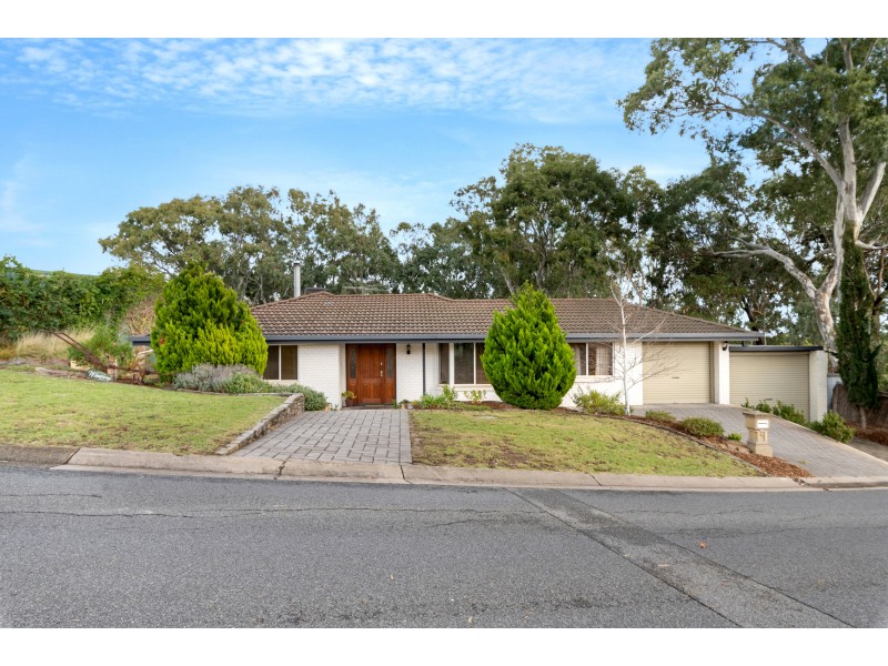 51 Coachwood Drive, Aberfoyle Park SA 5159