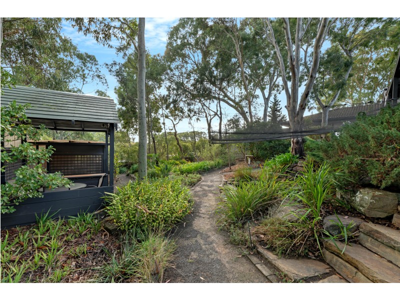 51 Coachwood Drive, Aberfoyle Park SA 5159