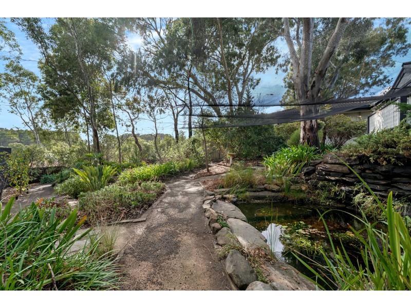 51 Coachwood Drive, Aberfoyle Park SA 5159