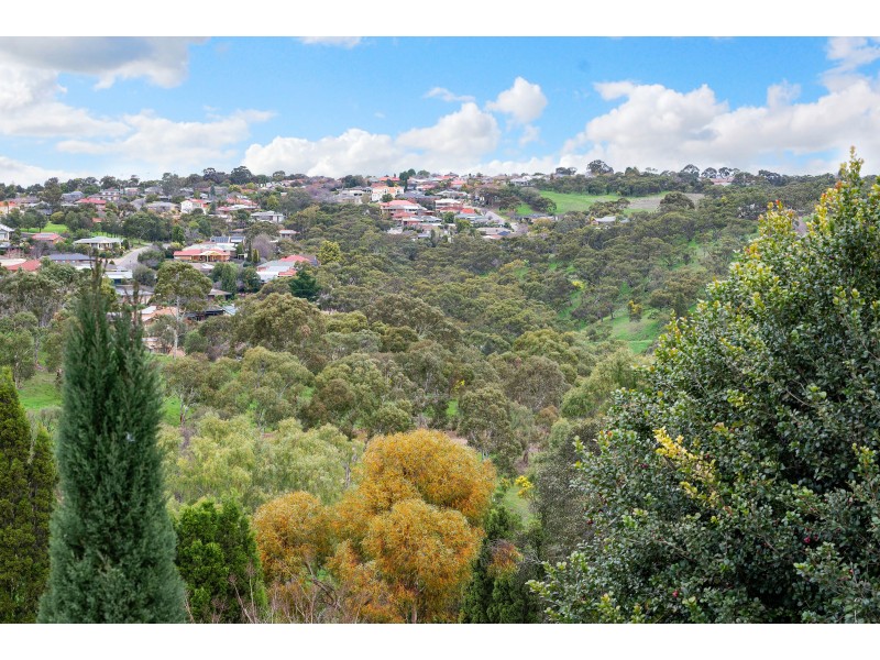 33 Reordan Drive, Greenwith SA 5125