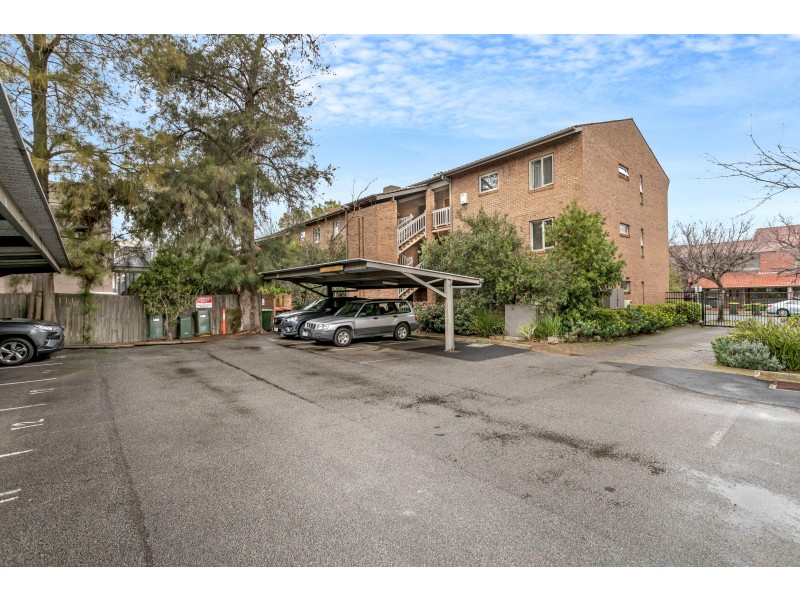 14/158 Archer Street, North Adelaide SA 5006