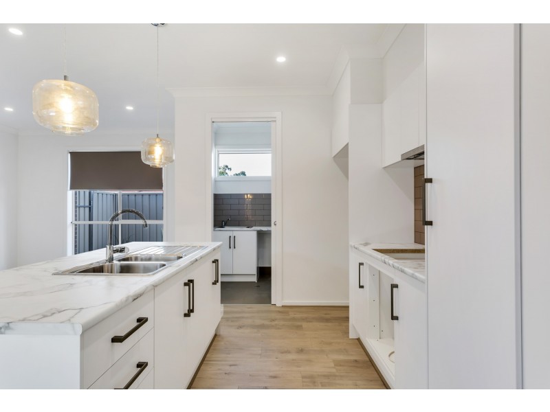 15a Trott Grove, Oaklands Park SA 5046