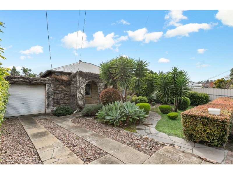 20 Livingstone Avenue, Prospect SA 5082