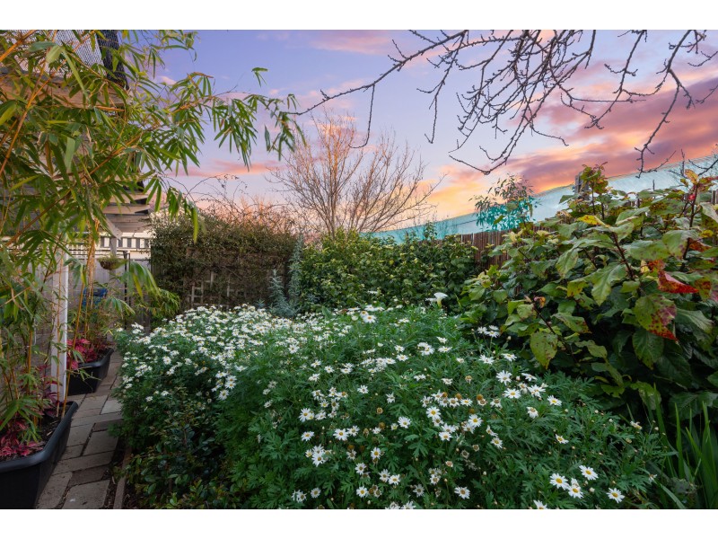 11 Nautilus Square, Seaford Rise SA 5169