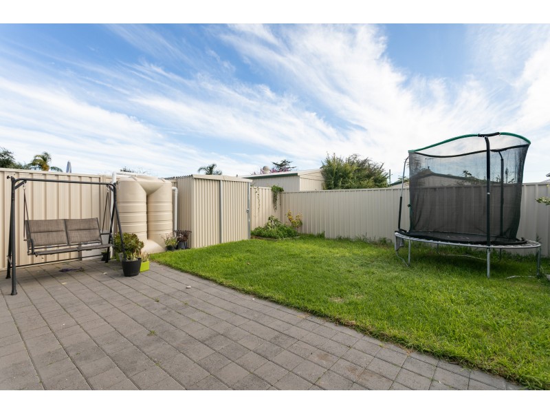 51 Celtic Avenue, Clovelly Park SA 5042