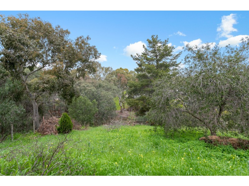 4 Grant Road, Reynella SA 5161