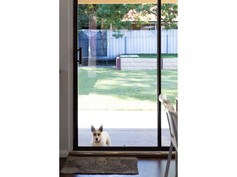 8 Reid Avenue, Aberfoyle Park SA 5159