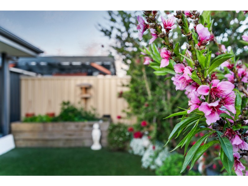 14 Admiral Pde, Seaford Meadows SA 5169