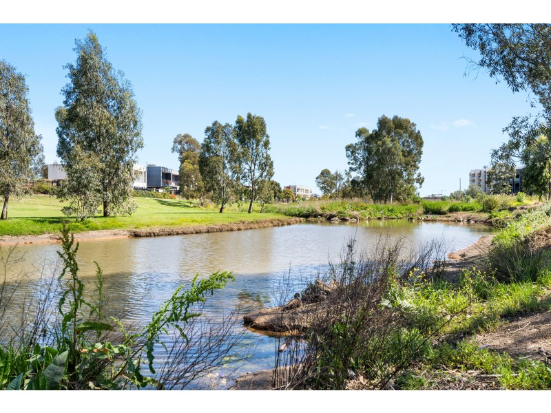 7/22 Euston Walk, Mawson Lakes SA 5095